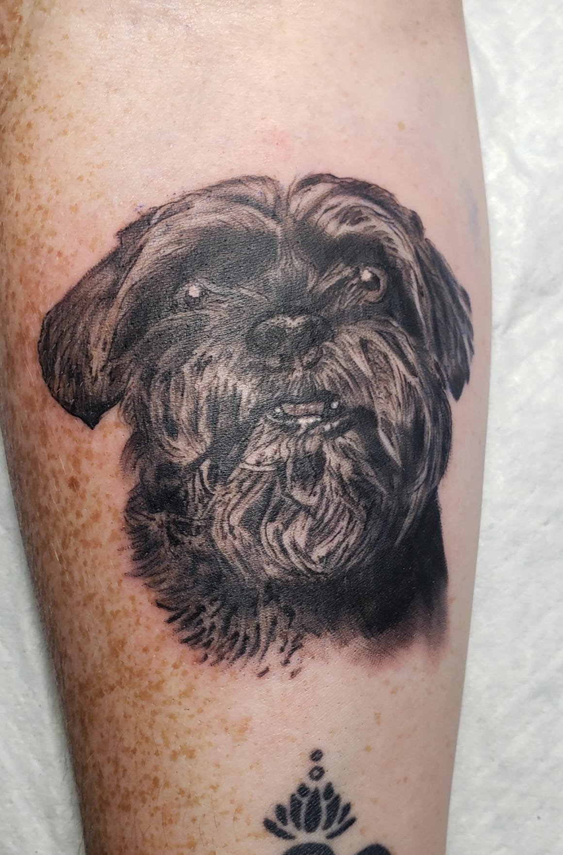 Client wanted a portrait tattoo of her aging dog.